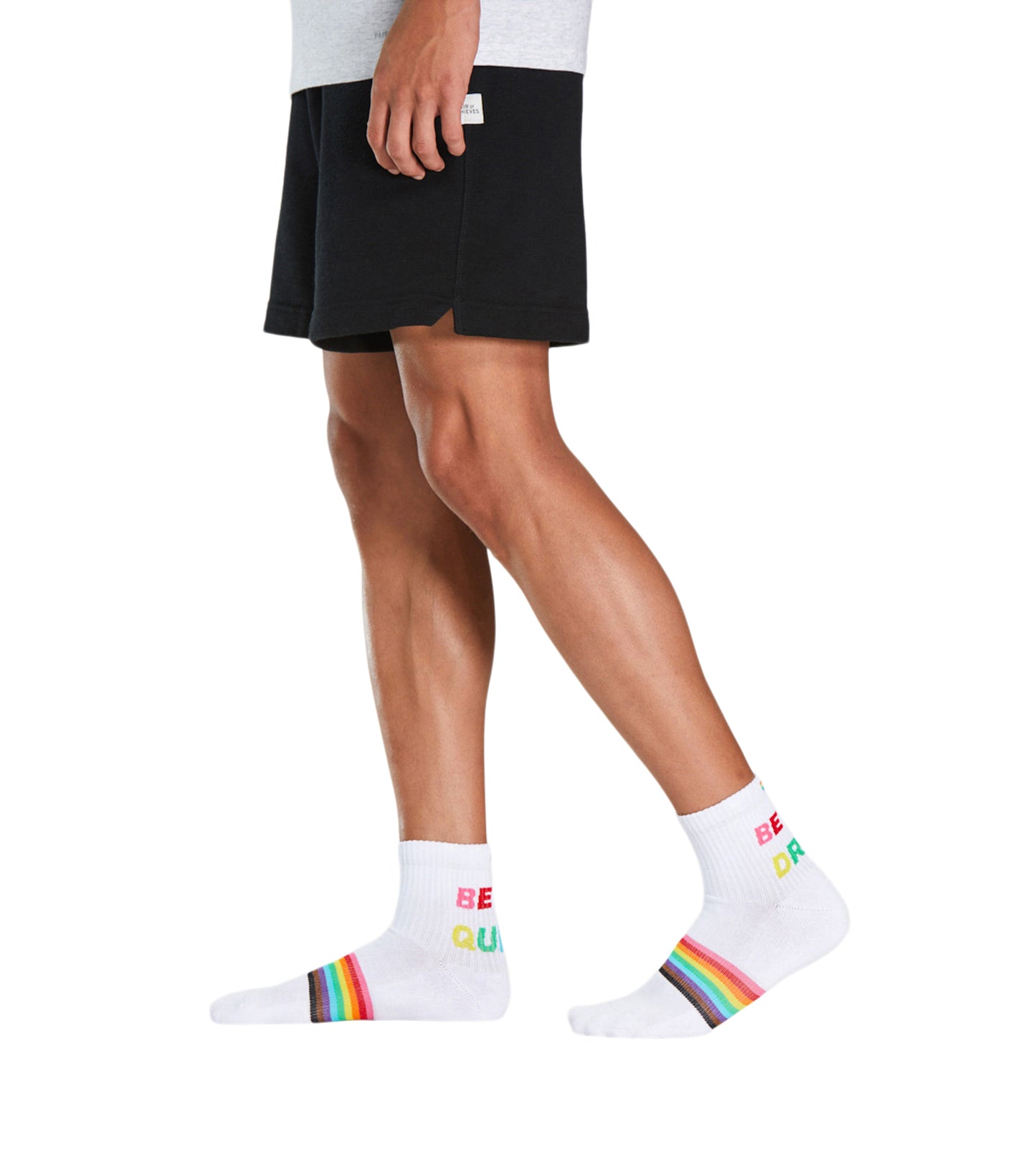 Cushion Ankle Sock - PRIDE containing the colors Black, Rosy brown, Light Gray, Sienna, Lavender, Tan, Saddle brown, Medium aquamarine, Indian red