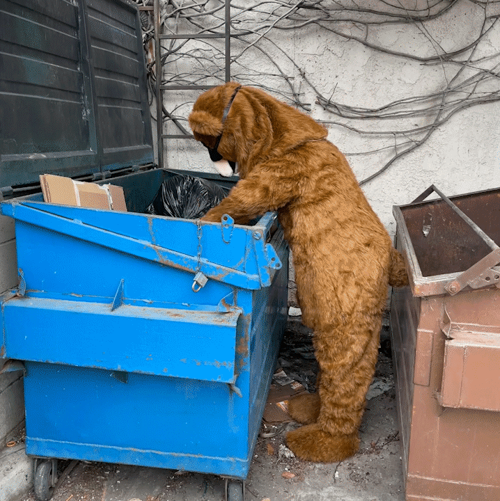PoT Bear Digging through lost trash looking for something good! 