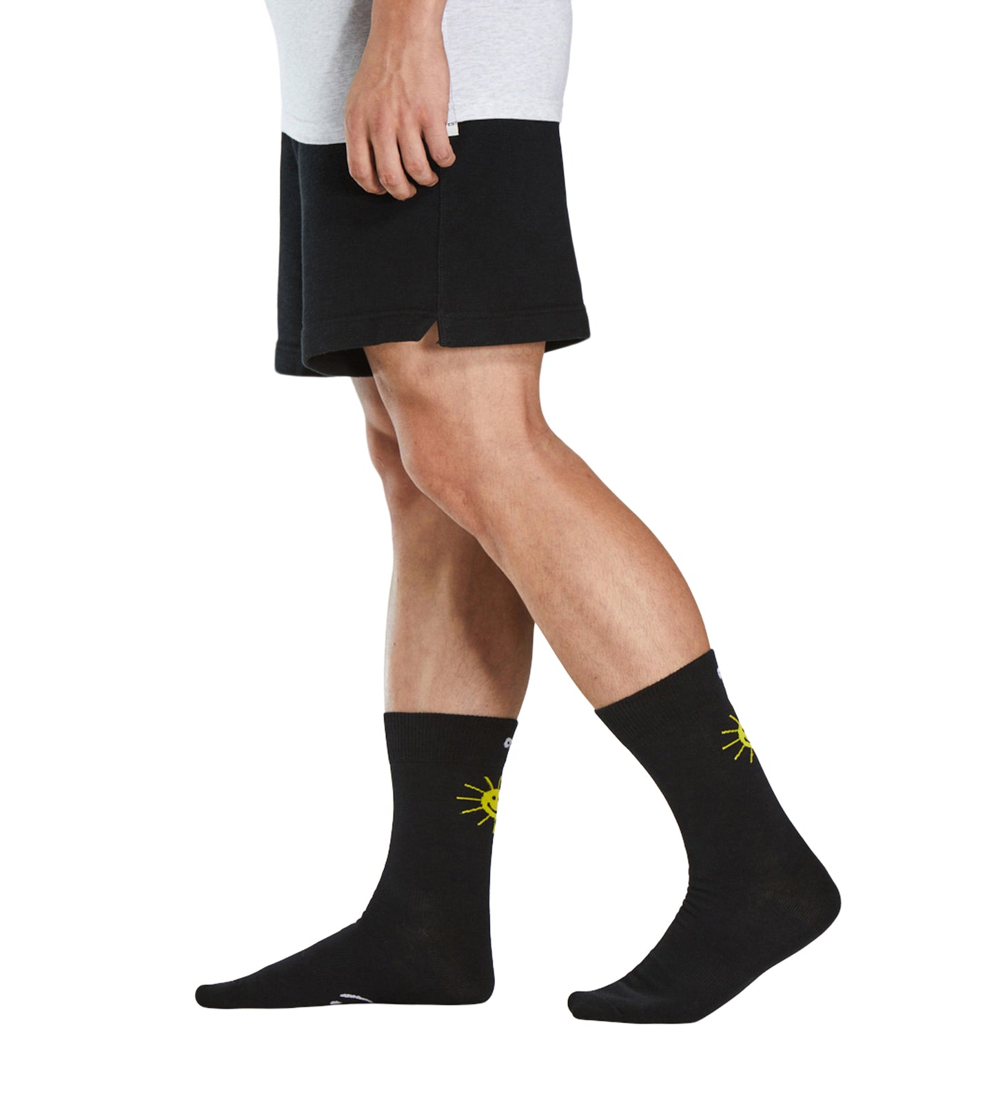 Crew Socks 3 Pack colors contain: Dark slate gray, Rosy brown, Sienna, Silver, Black, Indian red, Gains boro, Dark olive green, Tan
