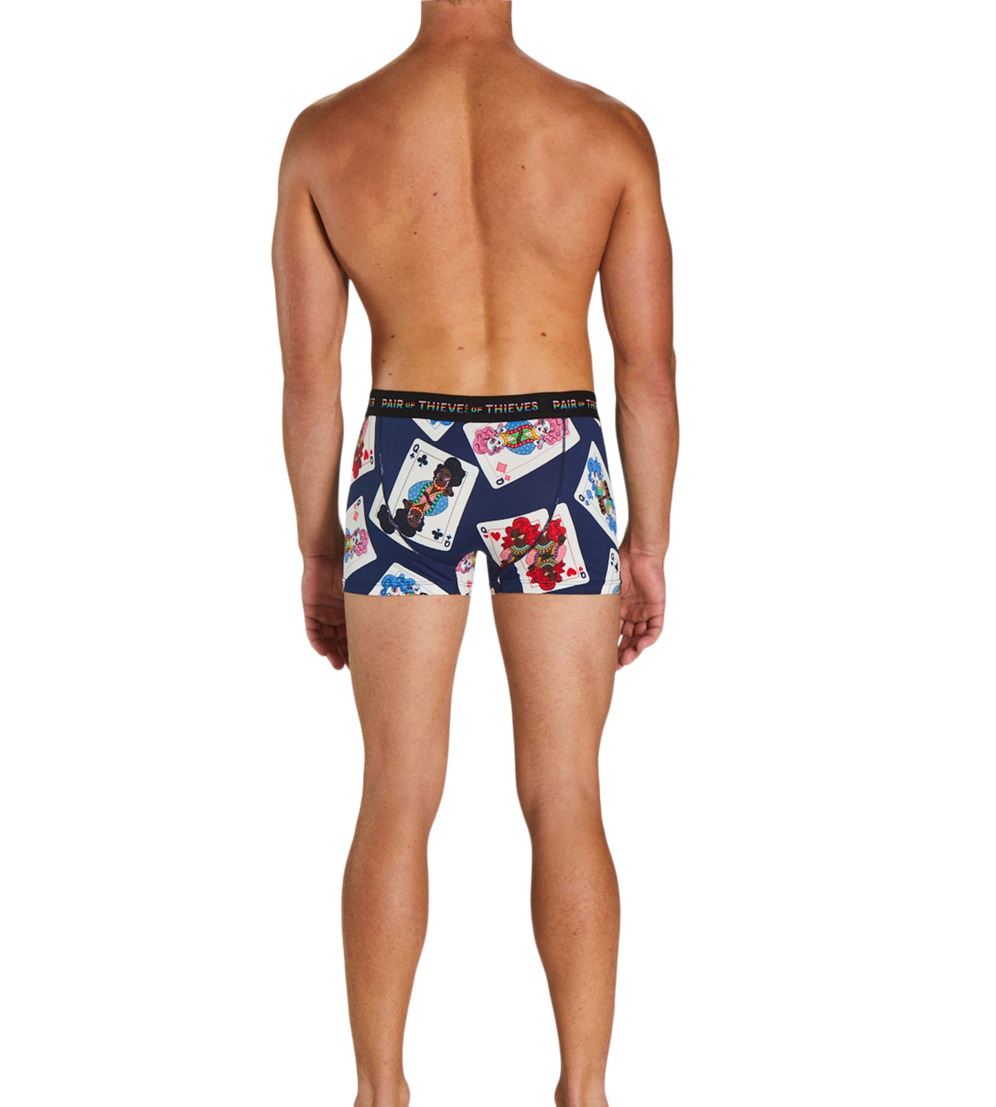 SuperFit Trunk - Pride colors consists of Peru, Saddle brown, Dark slate gray, Sienna, Light Gray, Dark salmon, Black, Peru, Slate gray