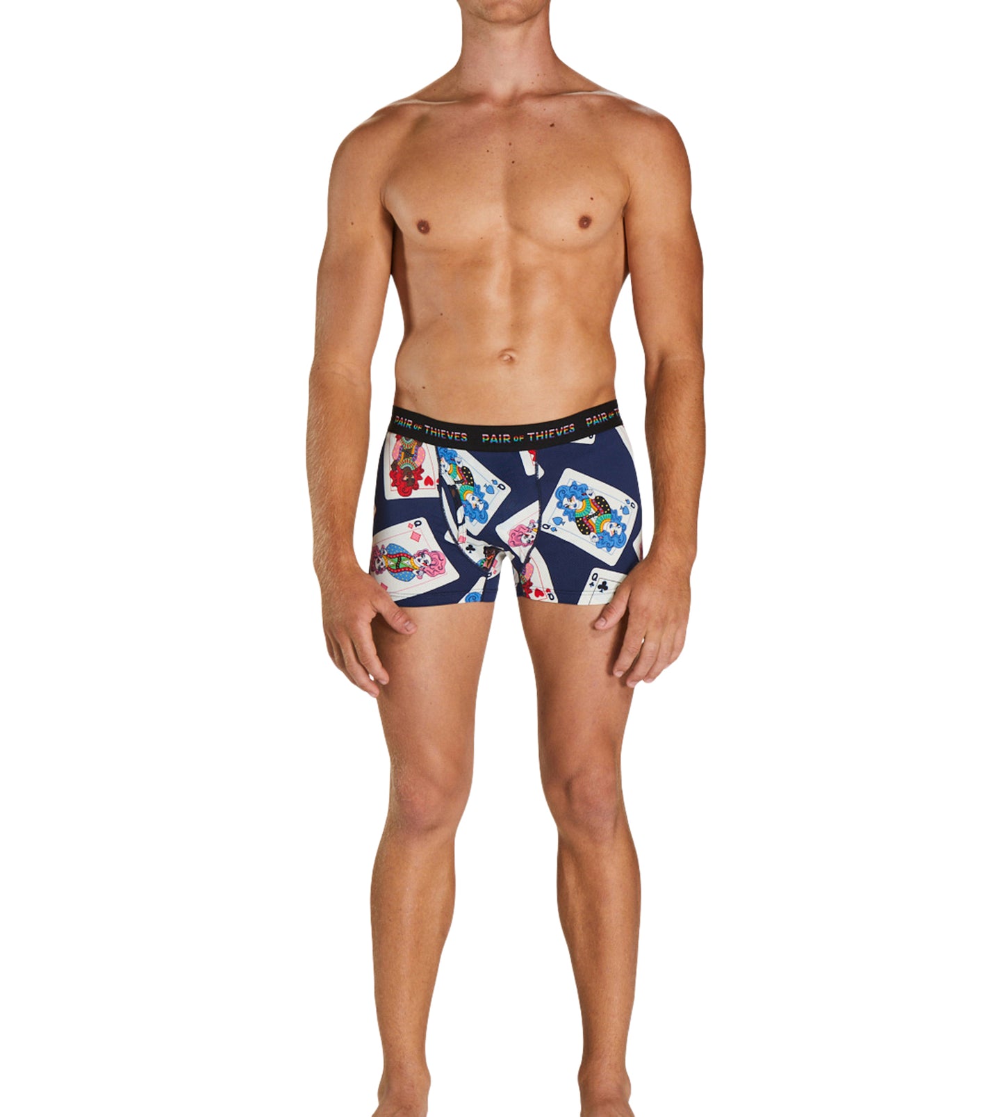 SuperFit Trunk - Pride colors consists of Sienna, Dark slate gray, Tan, Peru, Light Gray, Steel blue, Saddle brown, Black, Peru