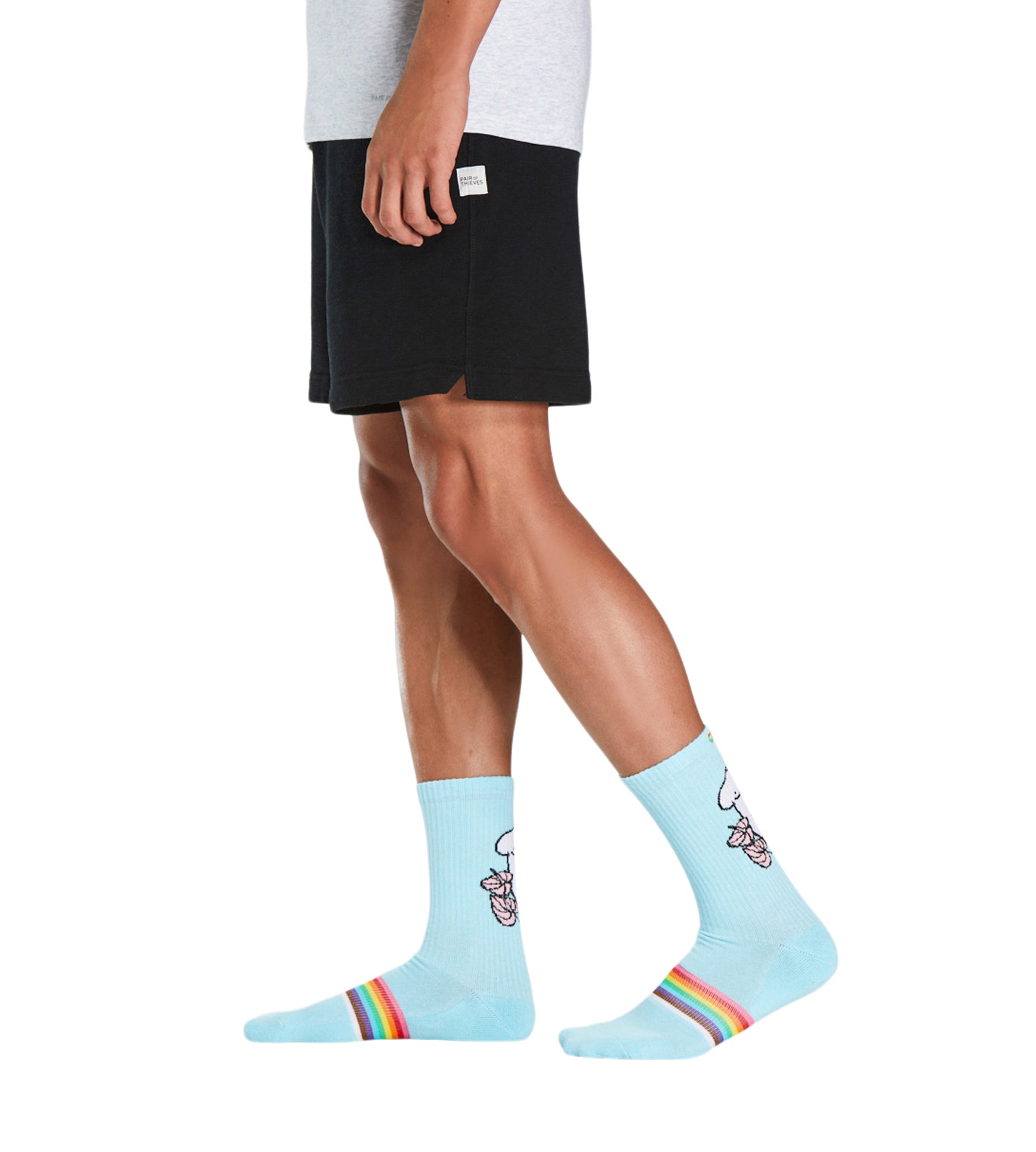 Cushion Crew Sock - PRIDE containing the colors Light steel blue, Slate gray, Cadet blue, Goldenrod, Gains boro, Dark slate gray, Light Blue, Sienna, Silver