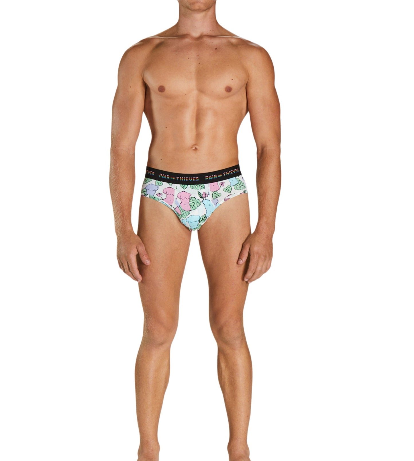 SuperFit Brief - Pride colors consists of Peru, Dark salmon, Saddle brown, Light Gray, Black, Peru, Sienna, Tan, Lights late gray