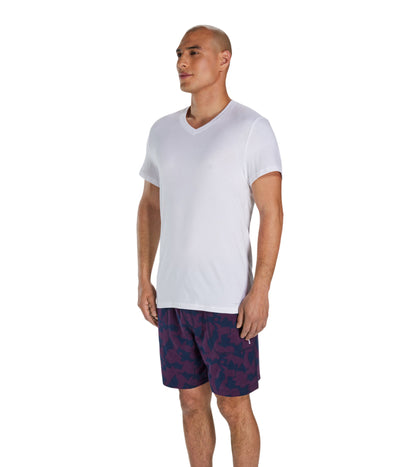 Classic Fit V-Neck 2 pack