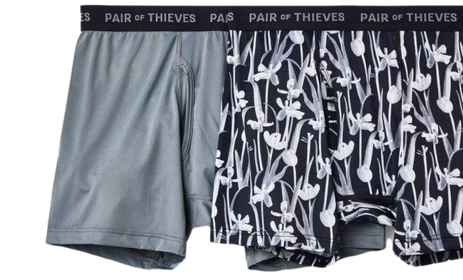 two overlapping gray palette boxers side by side