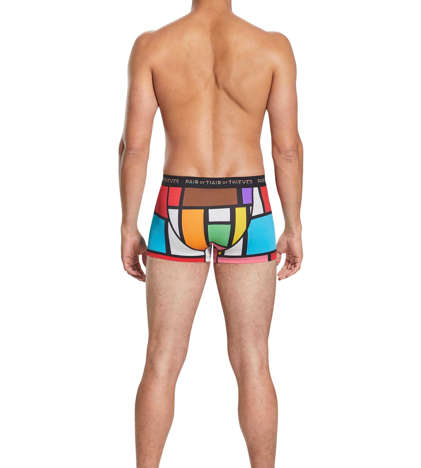 SuperFit Trunk - Pride